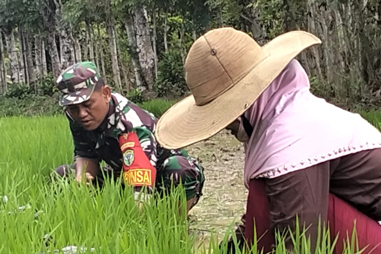 IMG-20241109-WA0030(1)